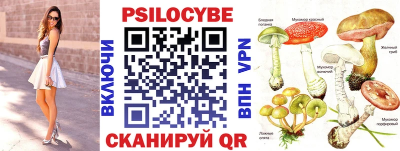 Галлюциногенные грибы мухоморы  Купить где  Моздок 